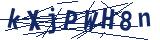 Captcha-Zeichenfolge