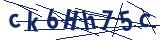 Captcha-Zeichenfolge