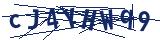 Captcha-Zeichenfolge