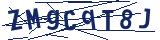 Captcha-Zeichenfolge