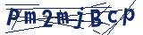 Captcha-Zeichenfolge
