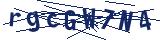 Captcha-Zeichenfolge