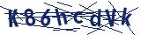 Captcha-Zeichenfolge