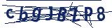 Captcha-Zeichenfolge