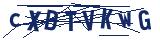 Captcha-Zeichenfolge