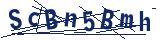 Captcha-Zeichenfolge