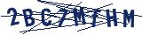 Captcha-Zeichenfolge