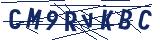 Captcha-Zeichenfolge