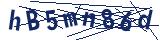 Captcha-Zeichenfolge