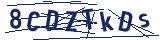 Captcha-Zeichenfolge