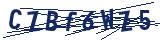 Captcha-Zeichenfolge