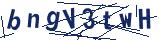 Captcha-Zeichenfolge