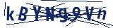 Captcha-Zeichenfolge