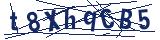 Captcha-Zeichenfolge