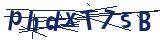Captcha-Zeichenfolge