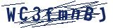 Captcha-Zeichenfolge