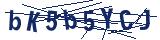 Captcha-Zeichenfolge