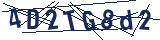 Captcha-Zeichenfolge
