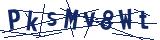 Captcha-Zeichenfolge