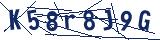 Captcha-Zeichenfolge