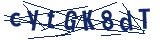 Captcha-Zeichenfolge