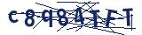 Captcha-Zeichenfolge