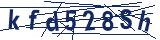 Captcha-Zeichenfolge