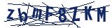 Captcha-Zeichenfolge