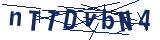 Captcha-Zeichenfolge