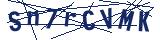 Captcha-Zeichenfolge