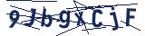 Captcha-Zeichenfolge