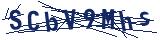 Captcha-Zeichenfolge