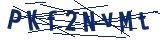 Captcha-Zeichenfolge