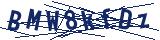 Captcha-Zeichenfolge