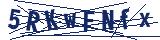 Captcha-Zeichenfolge