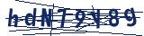 Captcha-Zeichenfolge