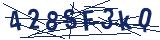 Captcha-Zeichenfolge