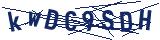 Captcha-Zeichenfolge