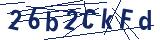 Captcha-Zeichenfolge