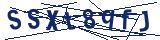 Captcha-Zeichenfolge