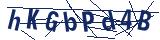 Captcha-Zeichenfolge