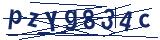Captcha-Zeichenfolge