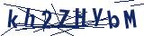 Captcha-Zeichenfolge
