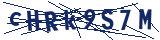 Captcha-Zeichenfolge