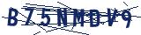 Captcha-Zeichenfolge