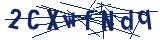 Captcha-Zeichenfolge
