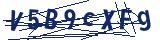 Captcha-Zeichenfolge