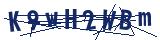 Captcha-Zeichenfolge