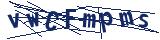 Captcha-Zeichenfolge