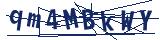 Captcha-Zeichenfolge